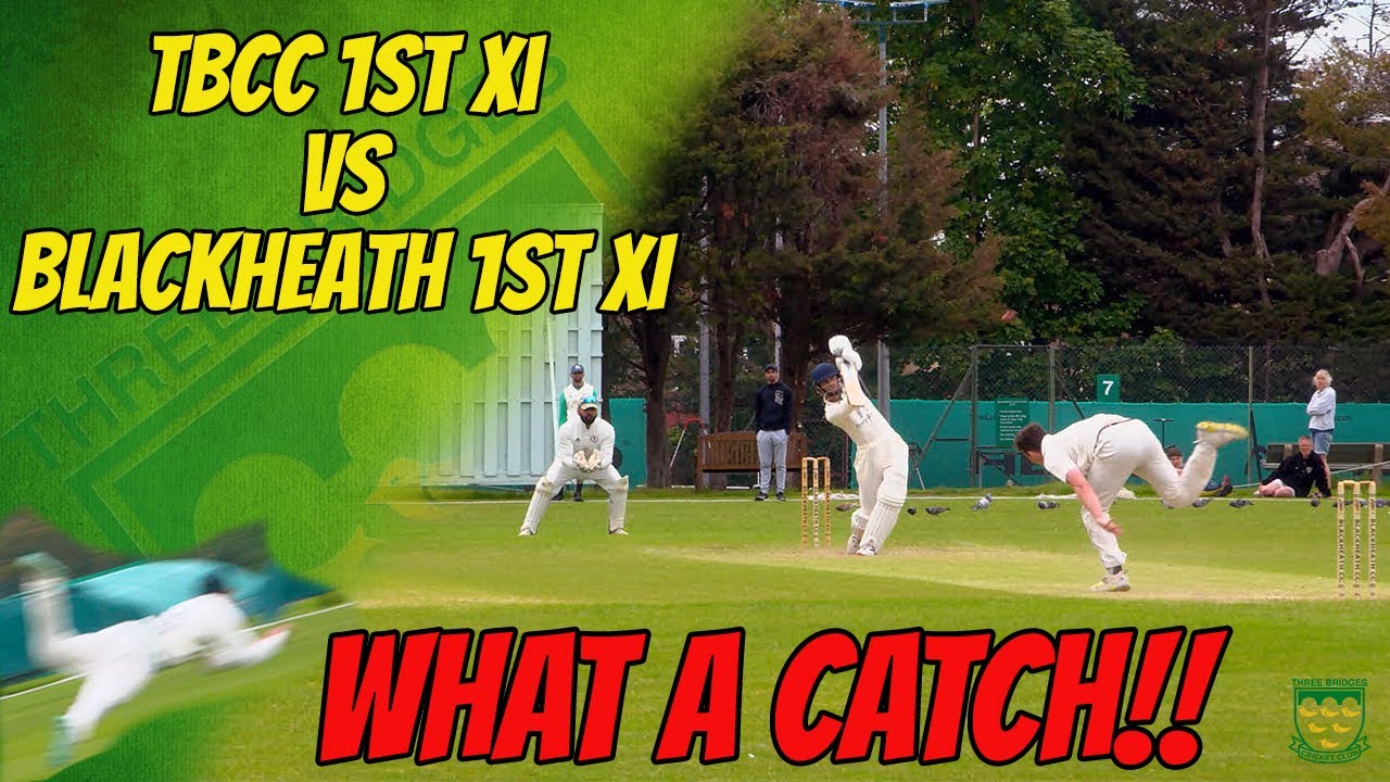 WHAT A CATCH!! TBCC 1st XI vs Blackheath XI | CUP CRICKET MATCH HIGHLIGHTS