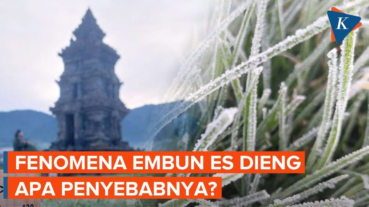 Penyebab Dieng Diselimuti Embun Es Mirip Salju