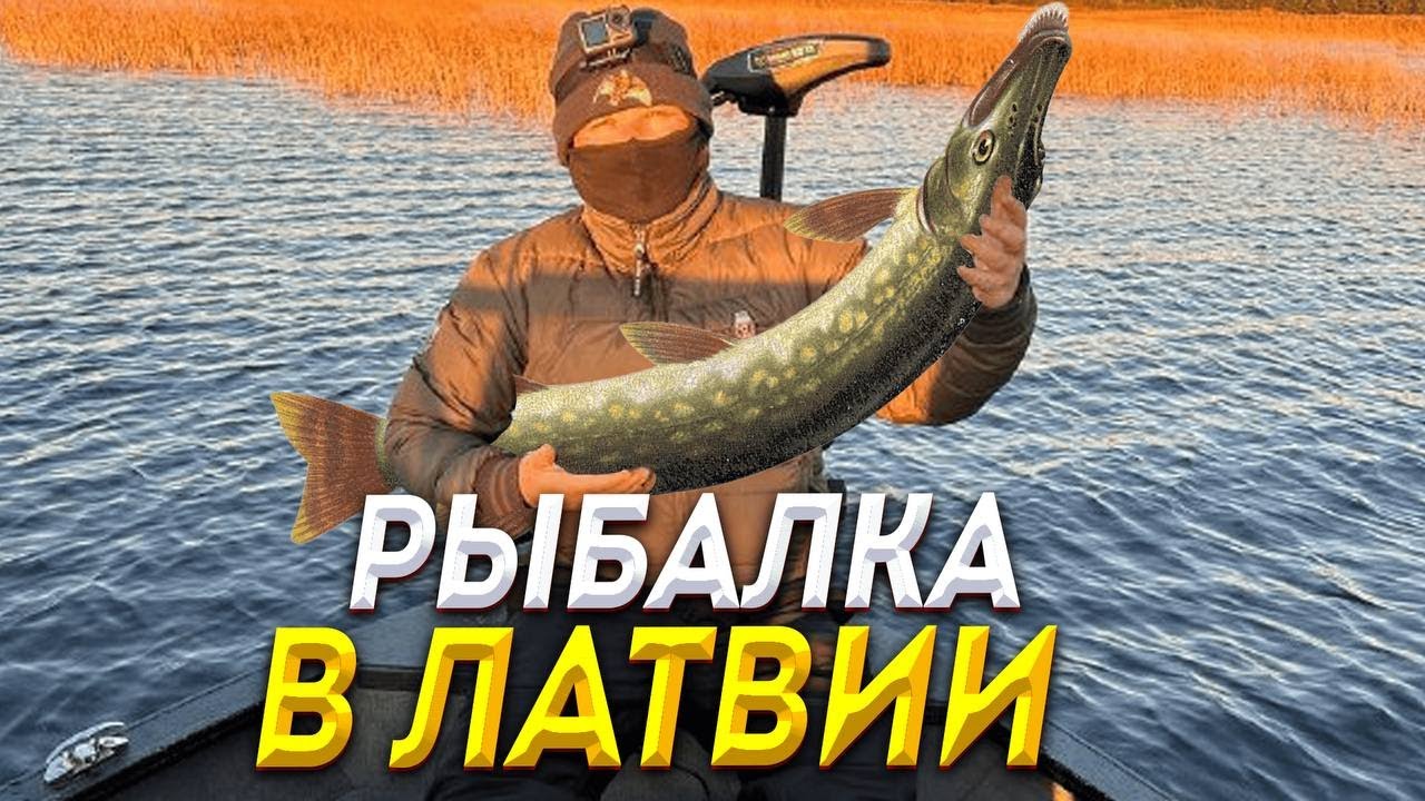 Рыбалка в Латвии. Рига-Старый город. Музей войны #блог #travel #латвия #рига #рыбалка