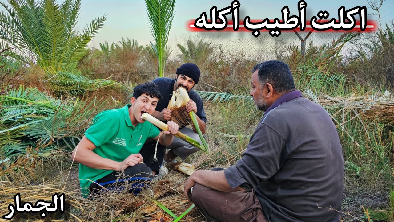 لأول مره اكل اللحم الأبيض!! جمار النخيل مقابل العمل الشاق _ رجوع الخنازير إلى البستان 😨