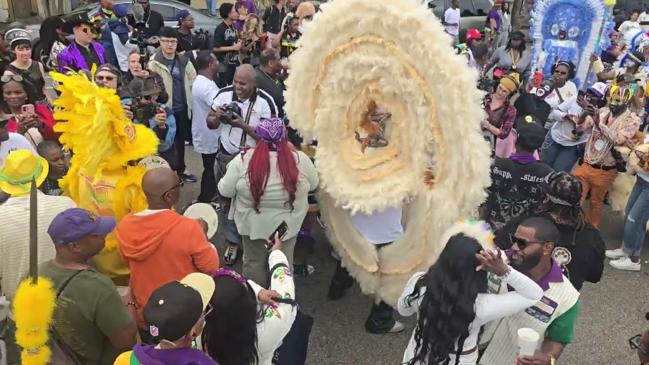 Yph & Black feather part 2 mardi gras 2026
