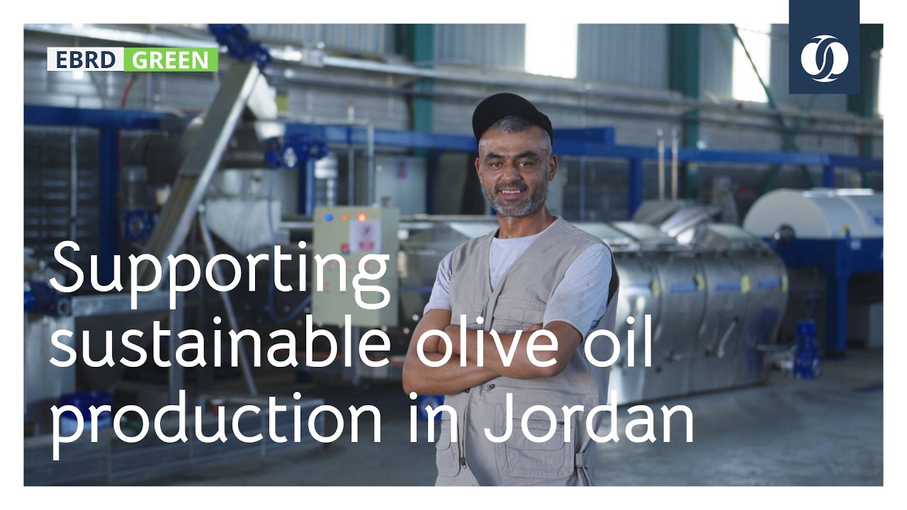 Supporting sustainable olive oil production in Jordan