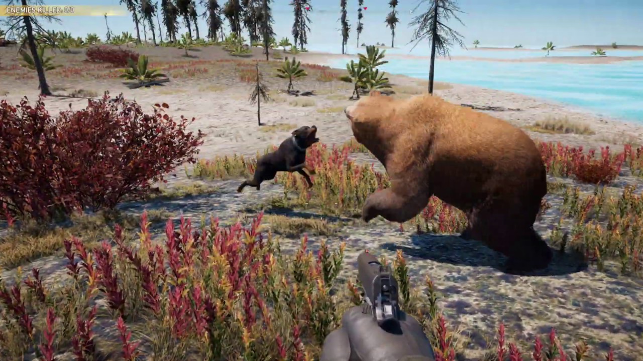 FAR CRY 5 - ALL ANIMAL FIGHTS - PART 6!!!!