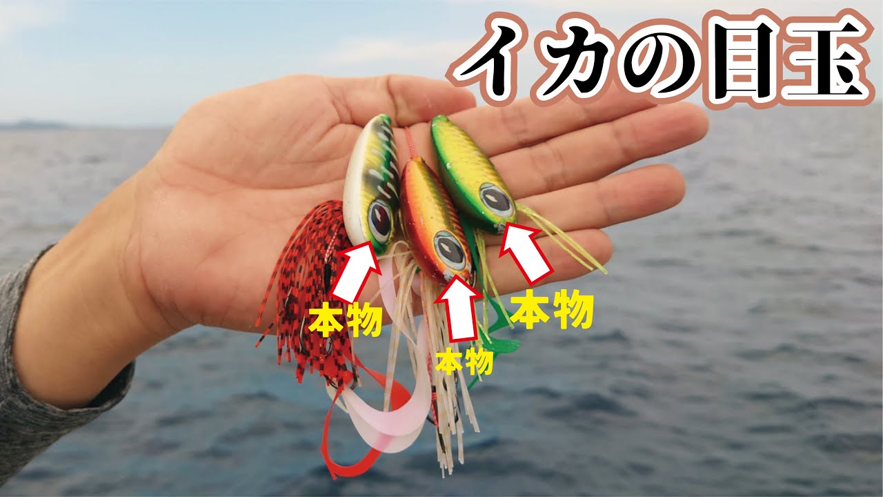 本物のイカの目玉をオモリに付け釣りをしていたら極上巨大魚が食ってきた！（937話目）