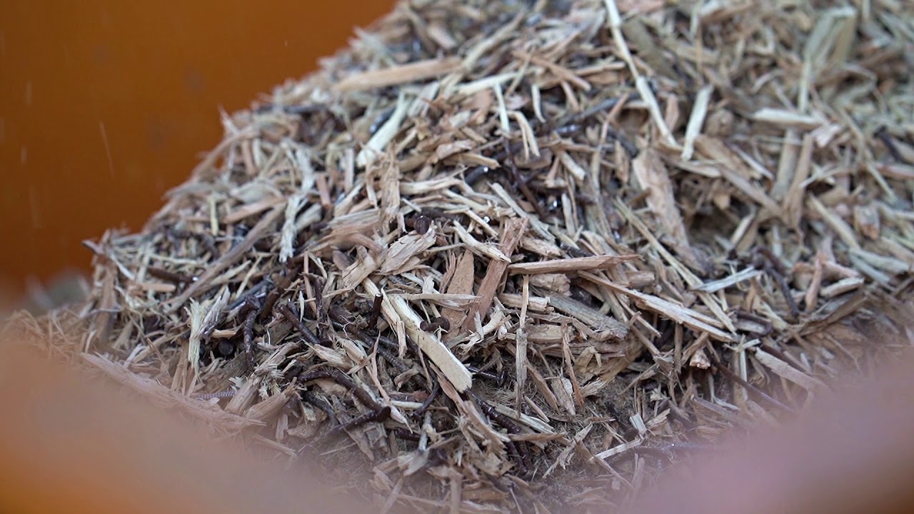 Palettenzerkleinerung mit Einwellenzerkleiner der Baureihe AZR von Reinbold
