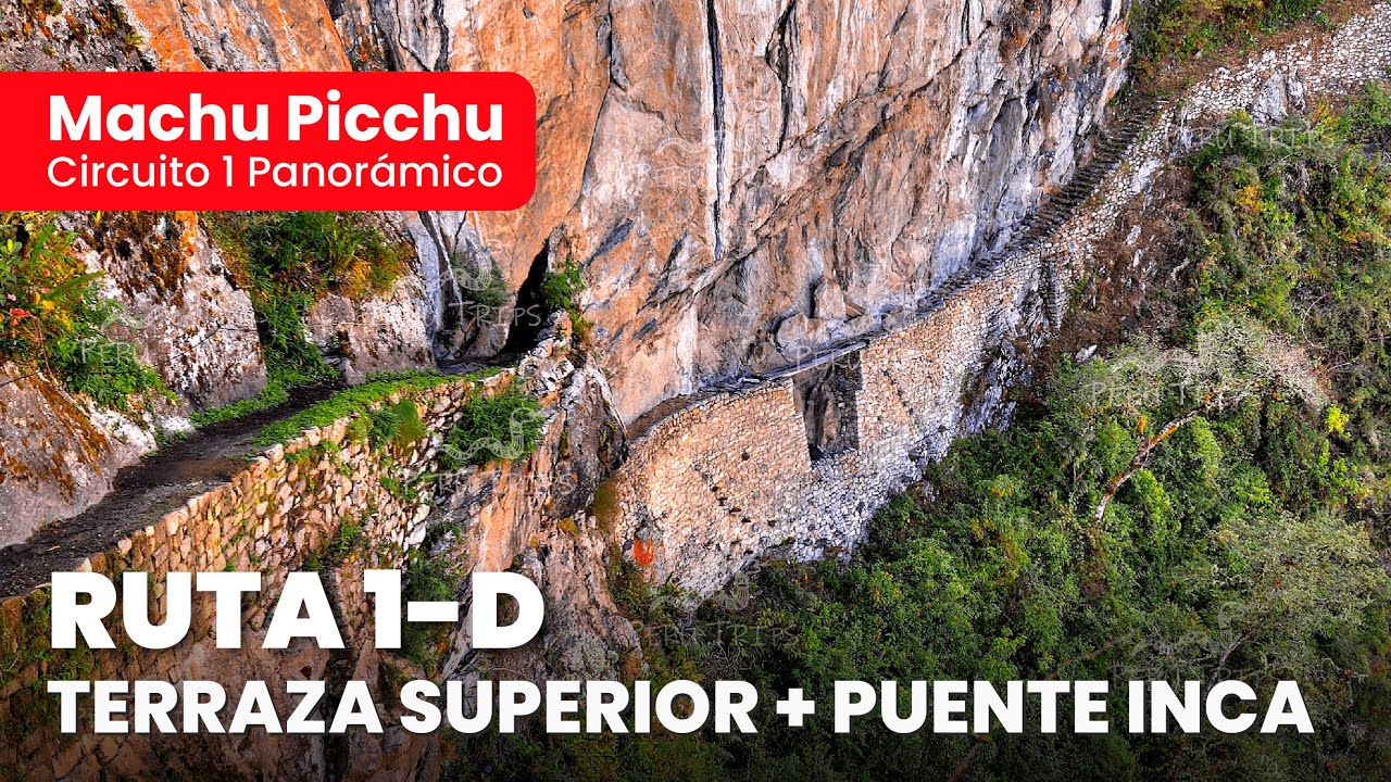 Machu Picchu Circuito 1 Panor&aacute;mico Ruta: 1-D Terraza Superior + Puente Inca 🏞️ 2026 Actualizado ✅