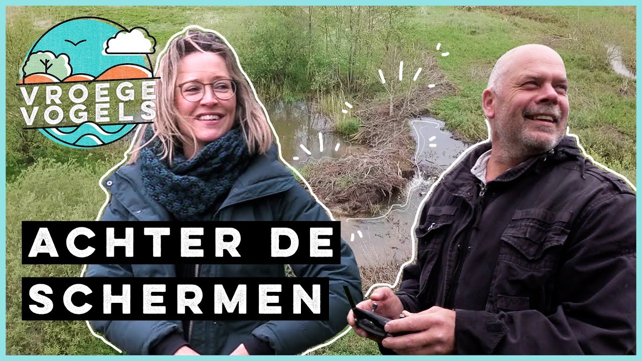 De grootste beverdam van Nederland? | Achter de schermen TV | Vroege Vogels