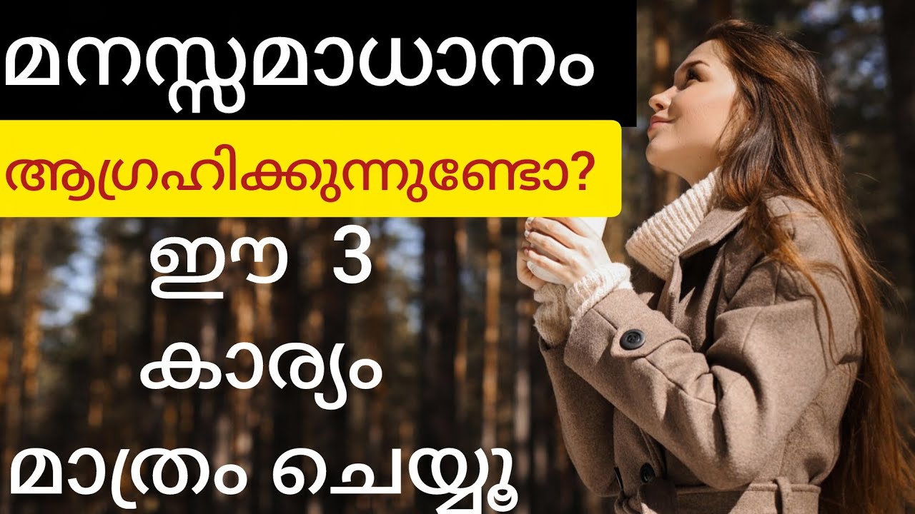 മനസ്സമാധാനം നഷ്ടപ്പെടുന്നുണ്ടോ? ഈ മാറ്റങ്ങൾ വരുത്തി നോക്കൂ! 🌿 | My Think Malayalam