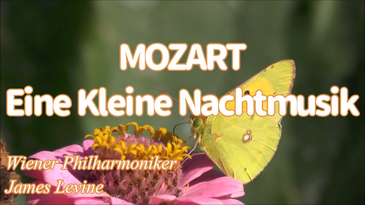 Mozart Eine Kleine Nachtmusik - Levine