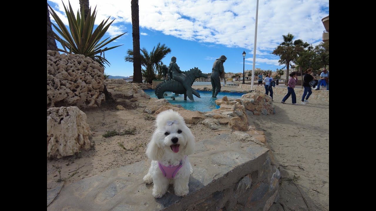 Trip to Los Alcazares, Mar Mеnor, Spain