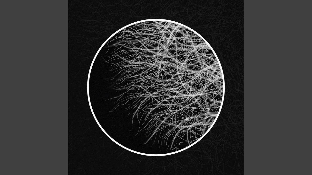 Mycelium