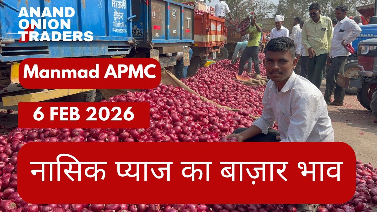 🧅 Nashik Onion Today Market Rate | आज का नाशिक प्याज भाव | Live APMC Update 6 February 2026