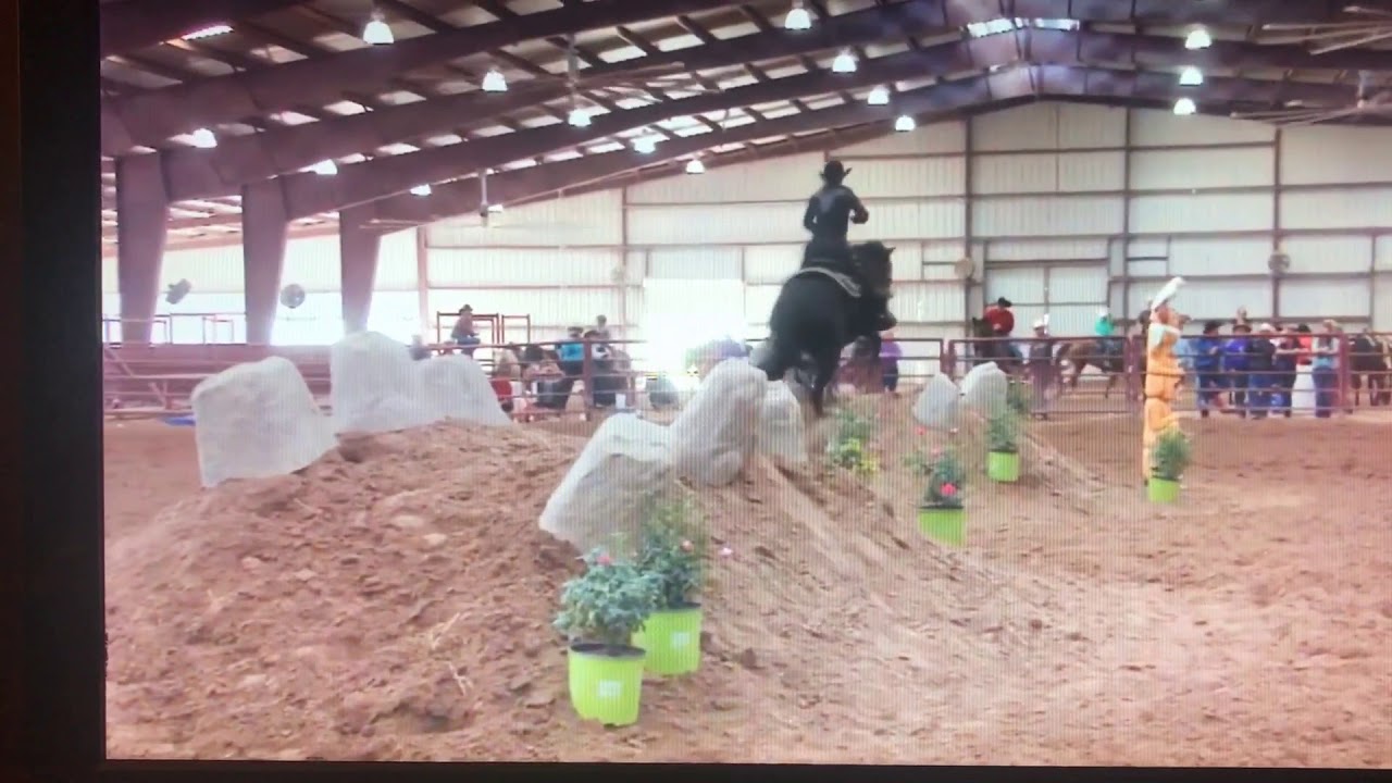 2017 Extreme Cowboy Race Annie Chance Nu Model Mercedes
