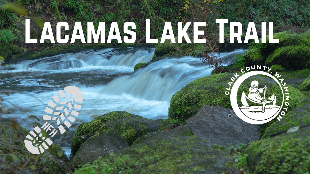 Lacamas Lake Trail, Camas, WA - (November 2020)