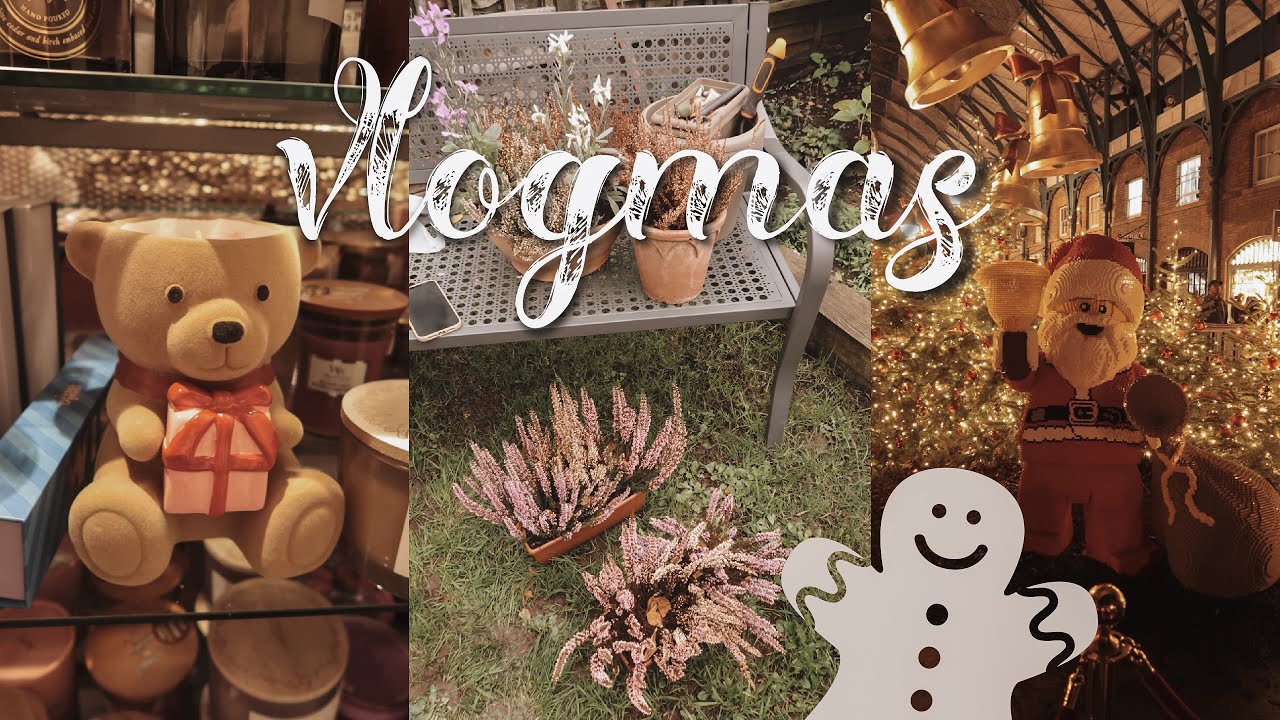 Black Friday & TK Maxx haul 🛍️ Ogródkowy update 🪻Czy dalej będę nagrywać? 🎄 VLOGMAS