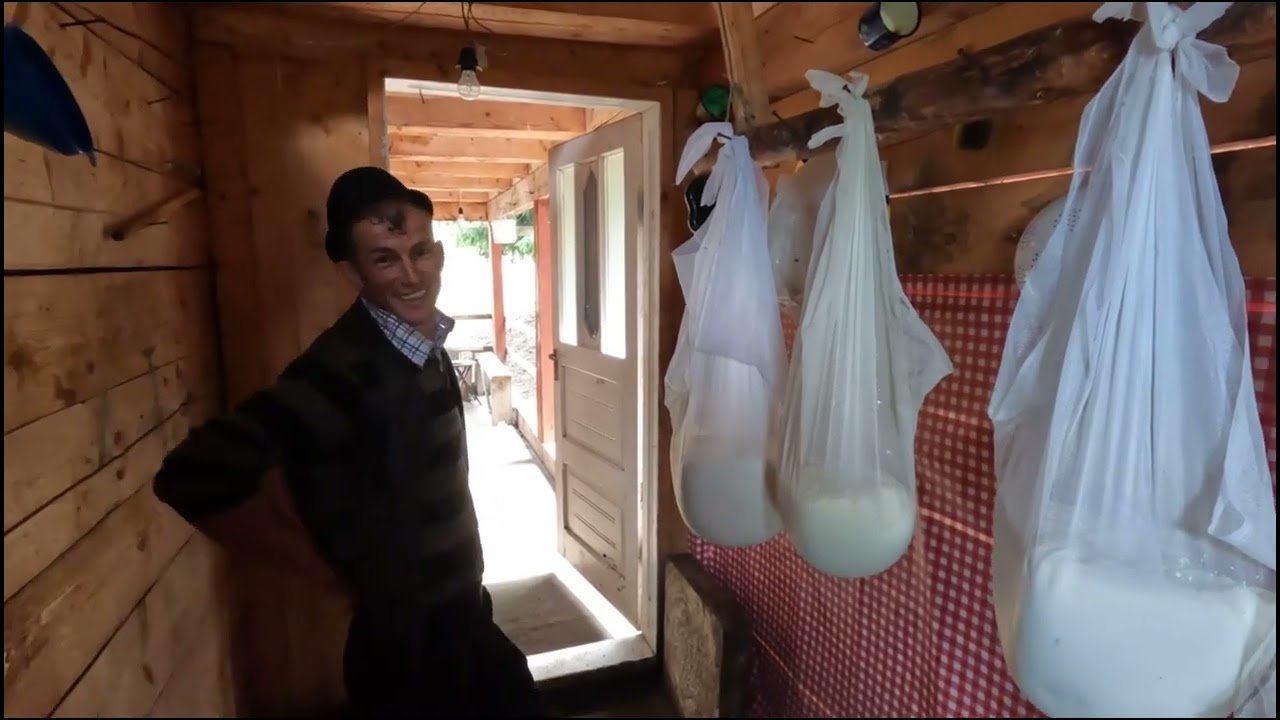 Stana Baciului Florin Logascu din Munți 🏔️ Parang-Haituit aproape Zilnic de Urs 