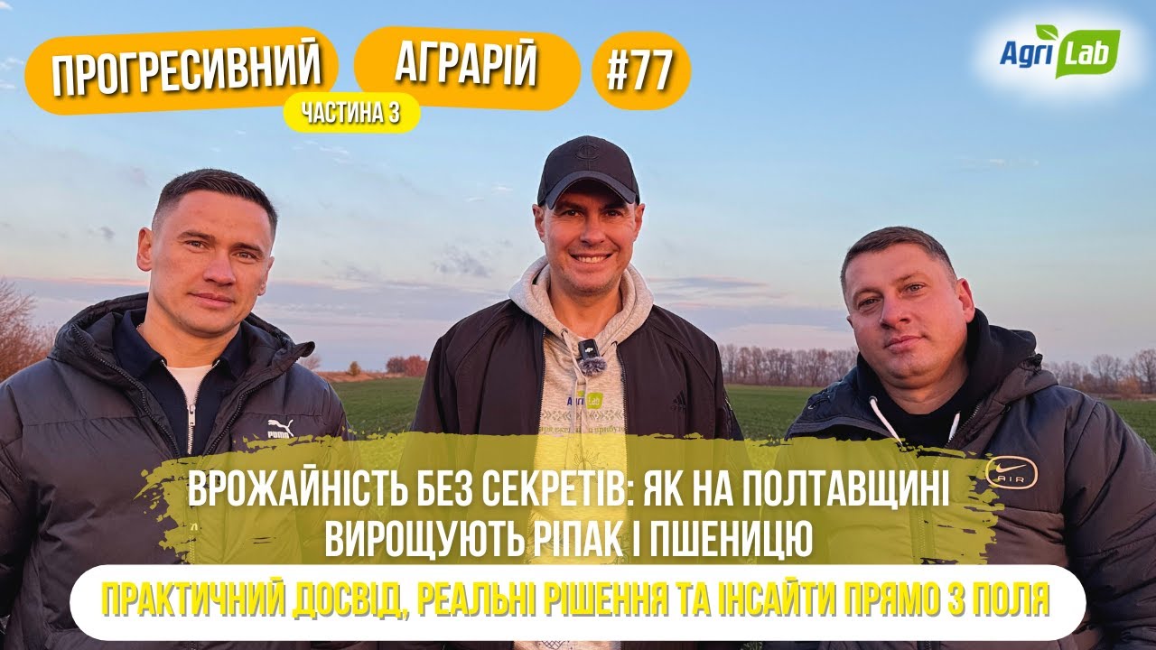 Ріпак і пшениця озимі 2025–2026: технології та досвід господарства братів Шамрицьких