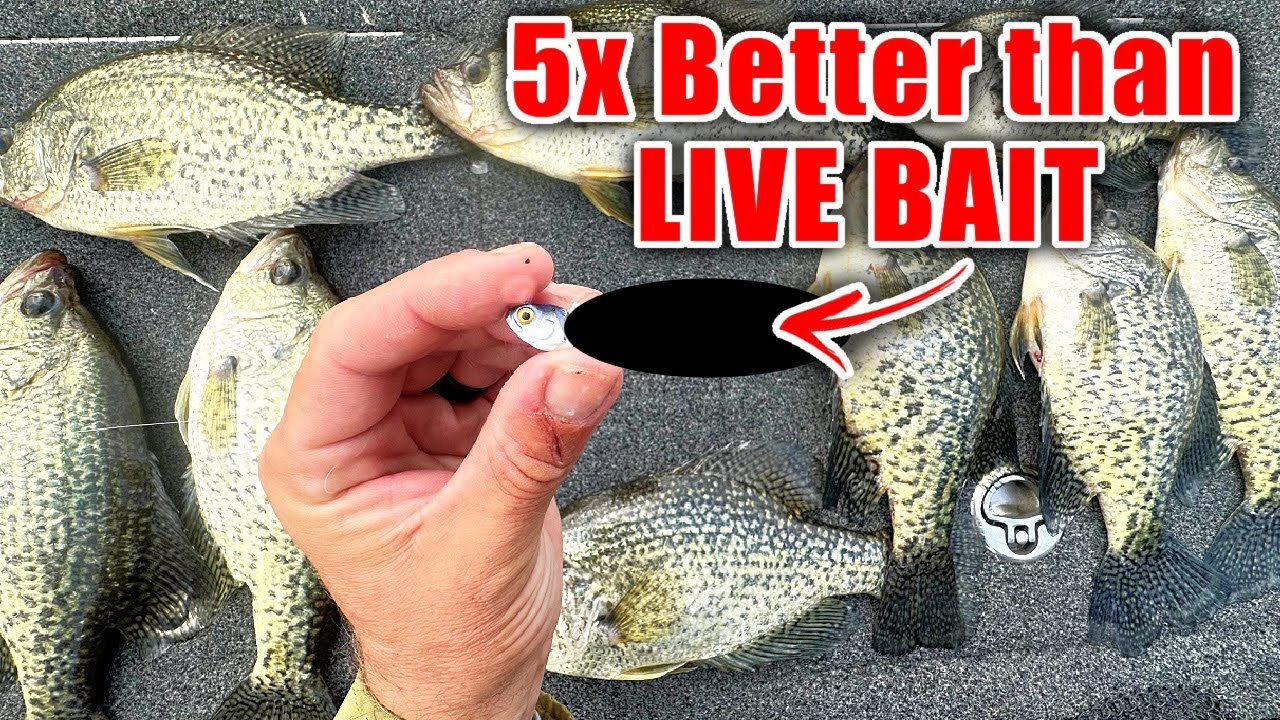 this New Lure OUT FISHES Live Bait 5 to 1!!! (BEST Crappie & Bass Winter Bait)