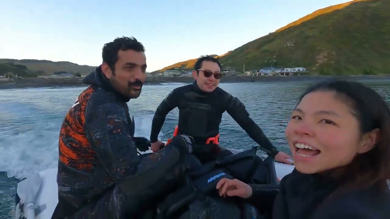 One sacred Spearfishing and Fishing spots in New Zealand / Wellington #fishing #spearfishing