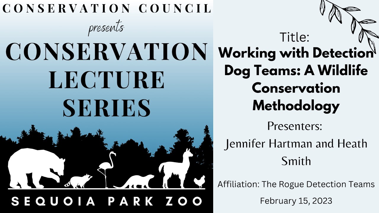 Working with Detection Dog Teams: A Wildlife Conservation Methodology – Hartman & Smith – 2/15/23