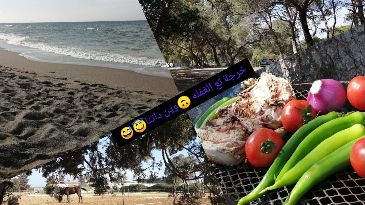 (الغابة🏕️ و البحر🏖️) vlog😅 تغير الروتين، فطور في الطبيعة 🌱☘️