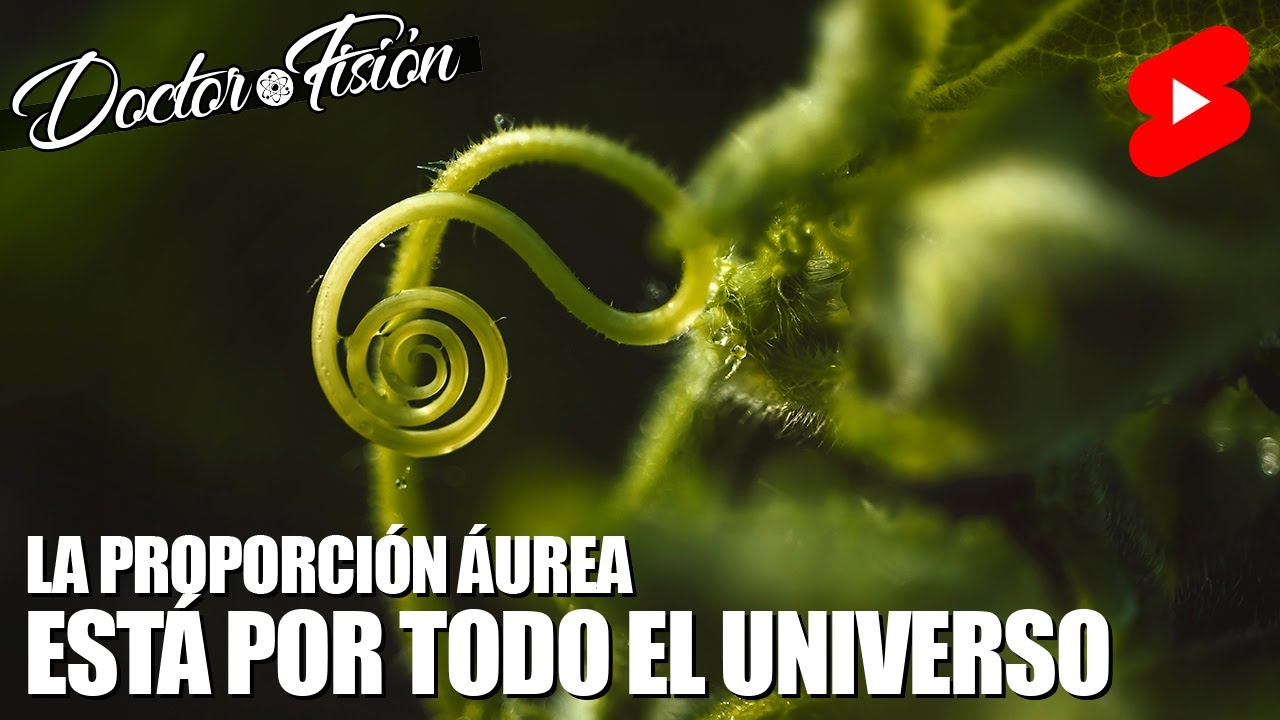 La PROPORCIÓN ÁUREA está POR TODO EL UNIVERSO 🌌