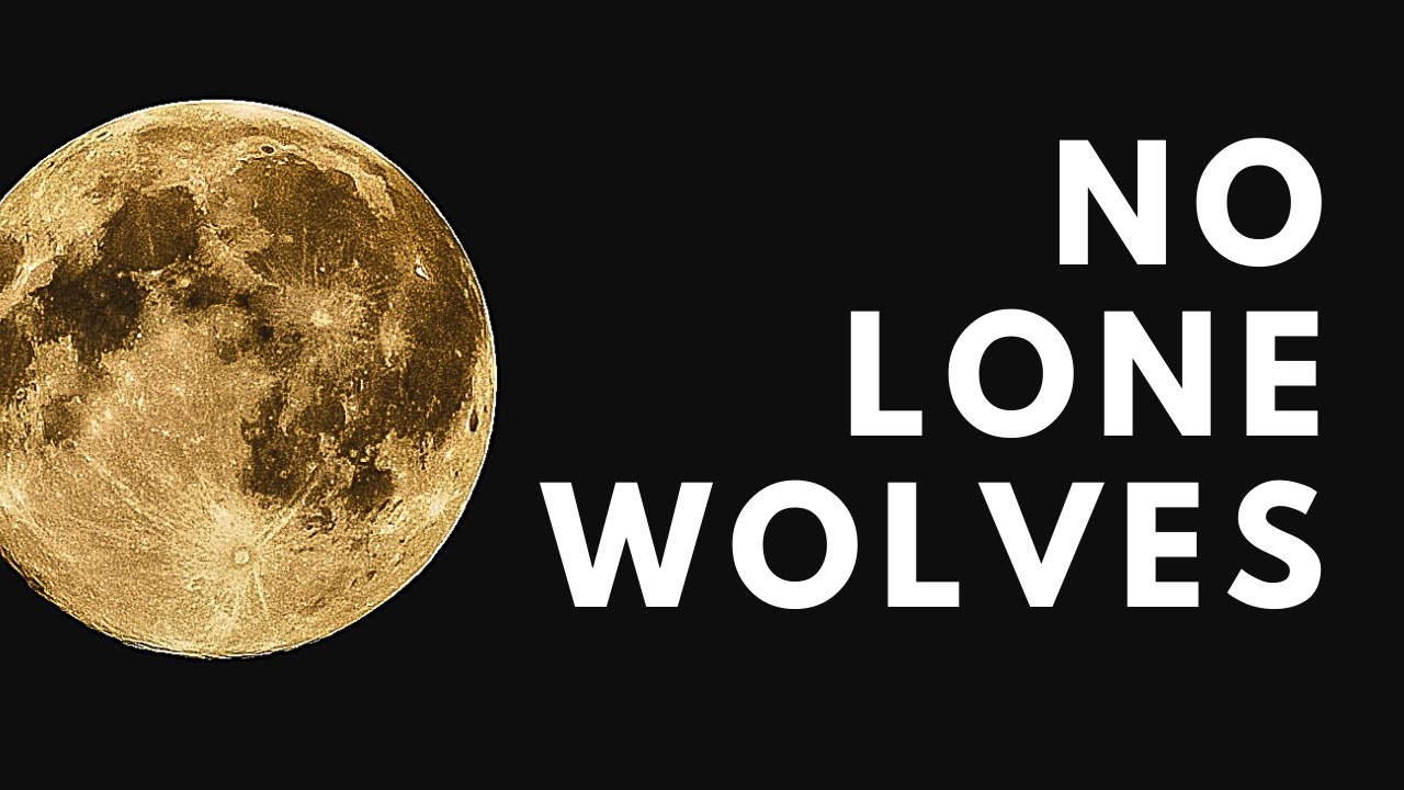 No Lone Wolves: Stochastic Terror & Parasocial Relationships