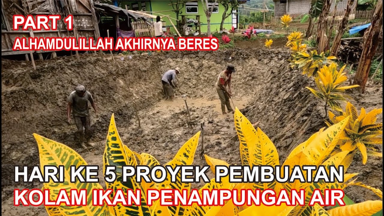 AKHIRNYA KELAR JUGA HARI KE LIMA PROYEK PENGGALIAN TANAH UNTUK MEMBUAT KOLAM INDAH DIHIASI TUMBUHAN