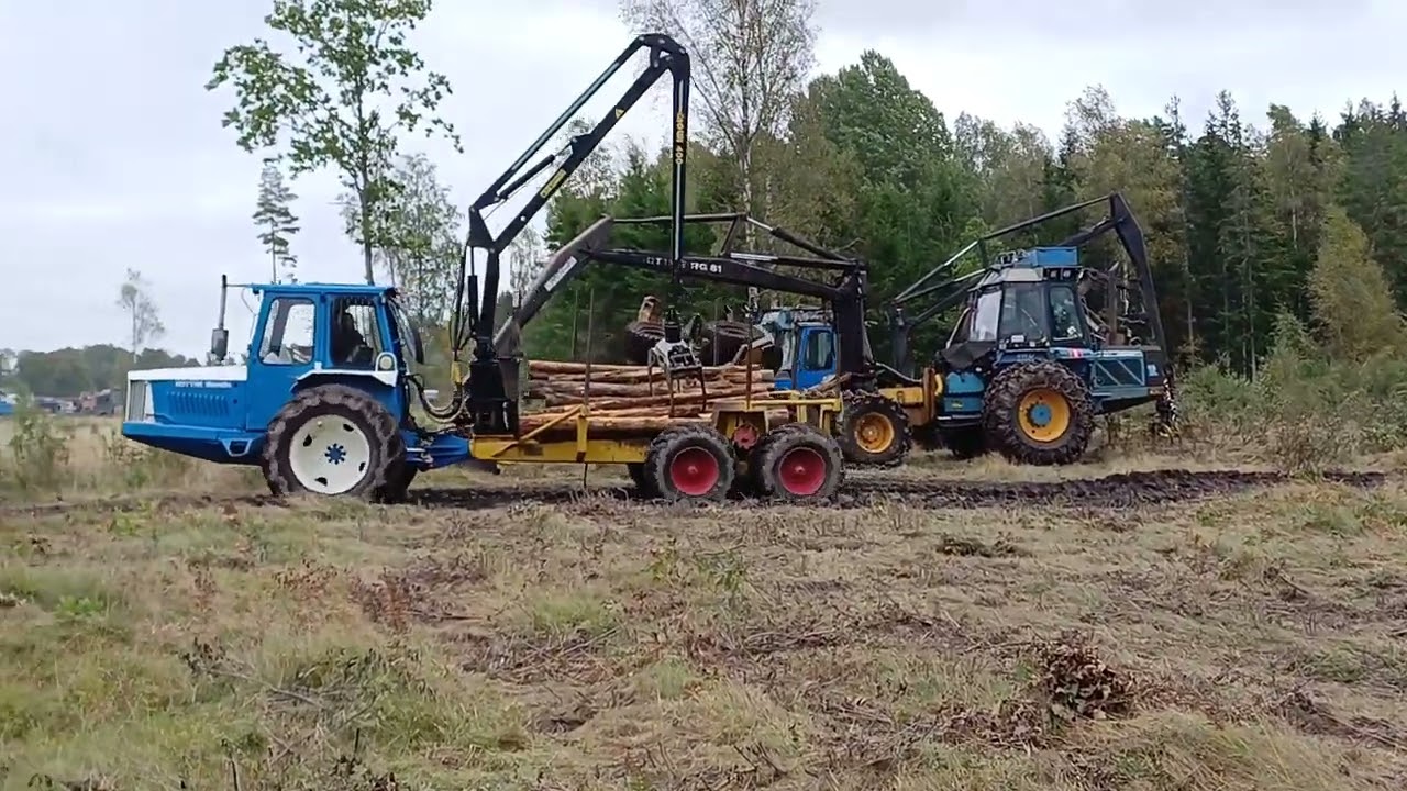 Skogens Veteraner 2025