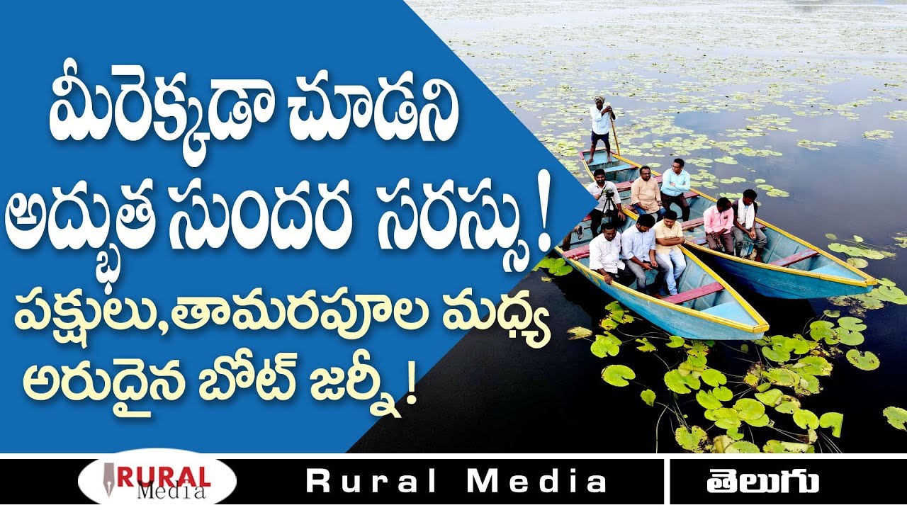 Kondakarla Ava | Lotus Pond Lake| Must Visit | Rural Media