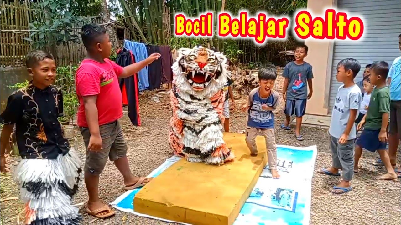 Can macanan singo Raung cilik belajar salto depan dan belakang