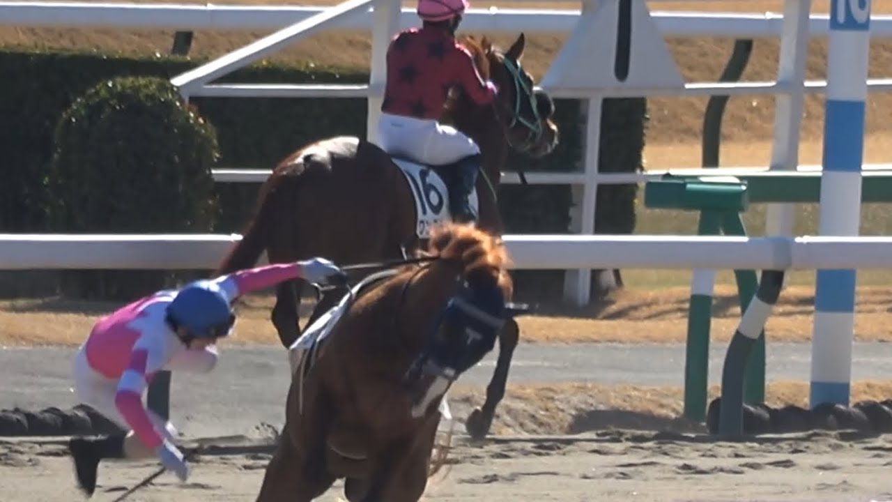 【落馬】騎手を落としても逸走せず嶋田騎手が来るまで待機しているブルーマウンテン 返し馬ではダノンデサイルのようにボロを出し続ける 【中山競馬場】