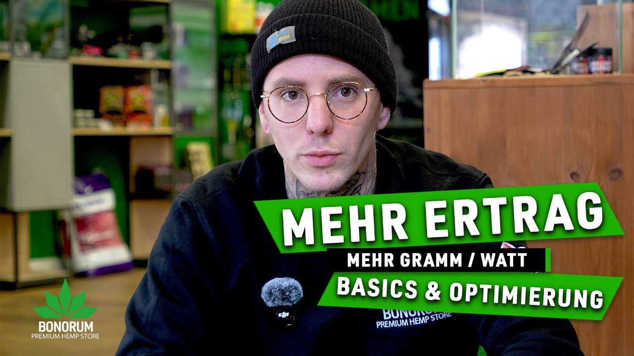 Mehr Ertrag pro Watt: Kenne die Basics und optimiere dein Grow Setup f&uuml;r maximale Ergebnisse!