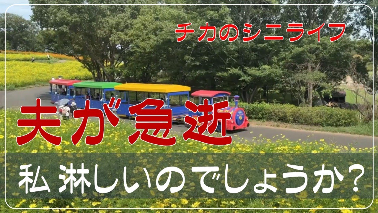 【夫が急逝】　夫が亡くなって私は不幸？　年金生活お一人様　シニアVlog　最高のプレゼントは「自由」