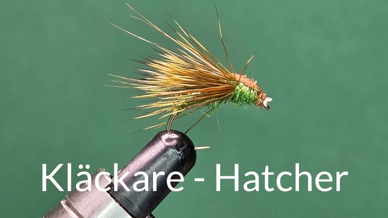 Kläckare - Hatcher - One Fly A Day