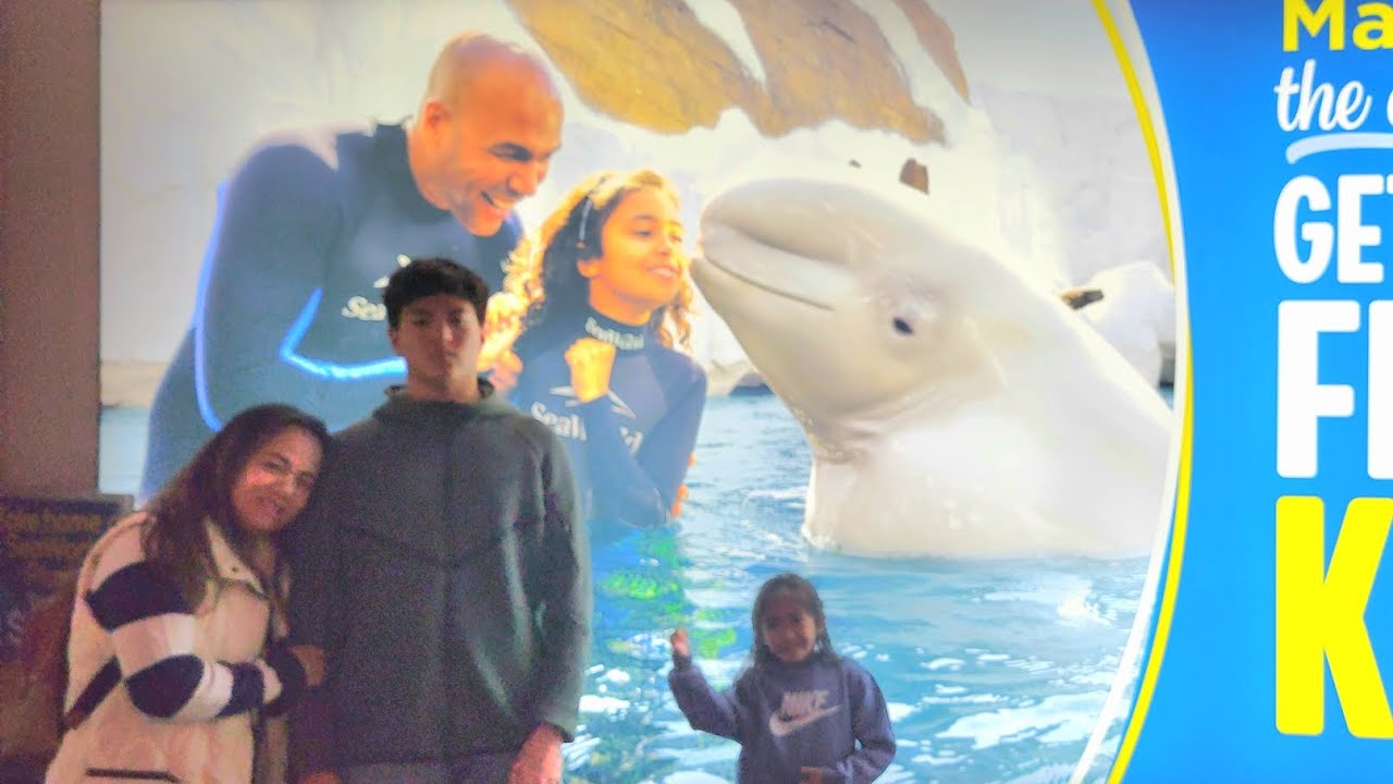Friendly hug from Beluga Whale in Seaworld. #beluga #whale #seaworld #sandiego #california @everyone