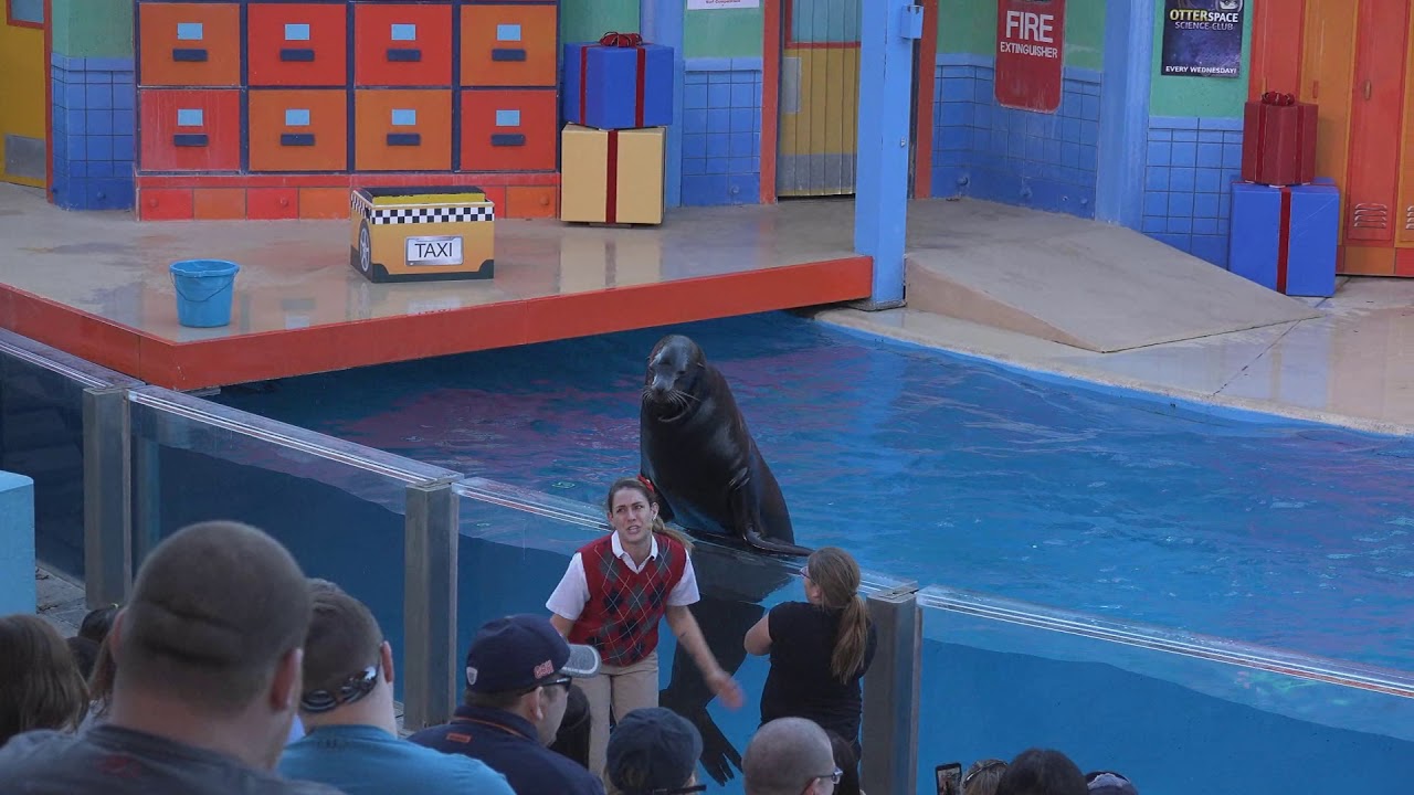 Clyde and Seamore's Countdown to Christmas at SeaWorld San Antonio