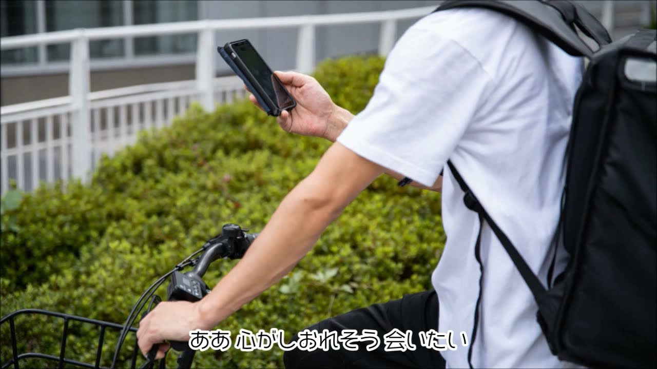 スピッツ / ありふれた人生