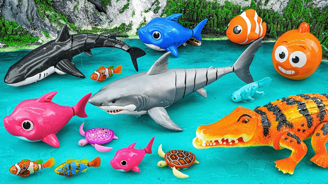 14 Minutes ZURU Robo Shark & Crocodile Unboxing Review | Real Water Aquarium ASMR