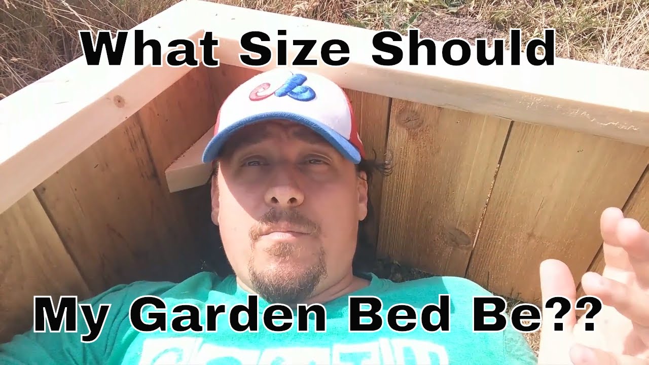 The Best Size To Build Your Raised Veggie Garden Bed