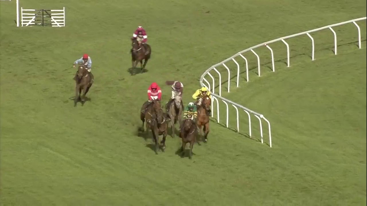 Cheltenham Festival 2019 Day 1 - All Finishes