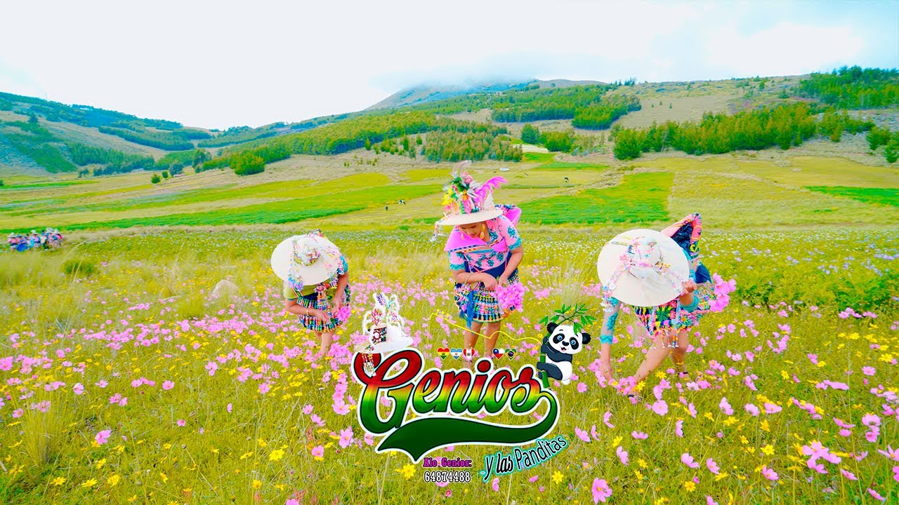 GENIOS Y LAS PANDITAS TEMA: CERVESITA VOY A TOMAR