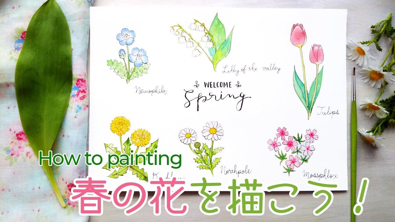 黒ペンと水彩で春の花を描く【ネモフィラ 芝桜など6種】How to Draw Spring Flowers