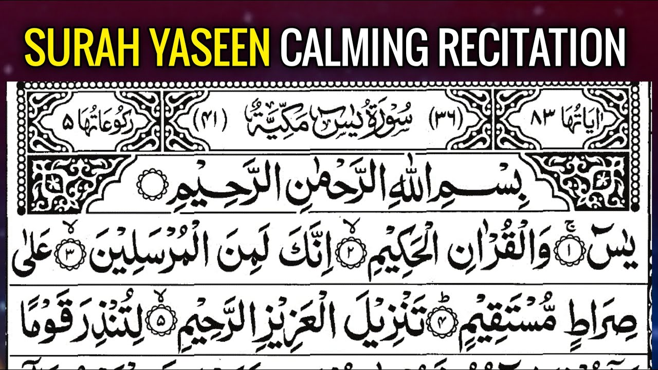 Surah Yaseen Full [ سورة يس ] | Beautiful Recitation of Quran | Surah Yaseen with Blessings
