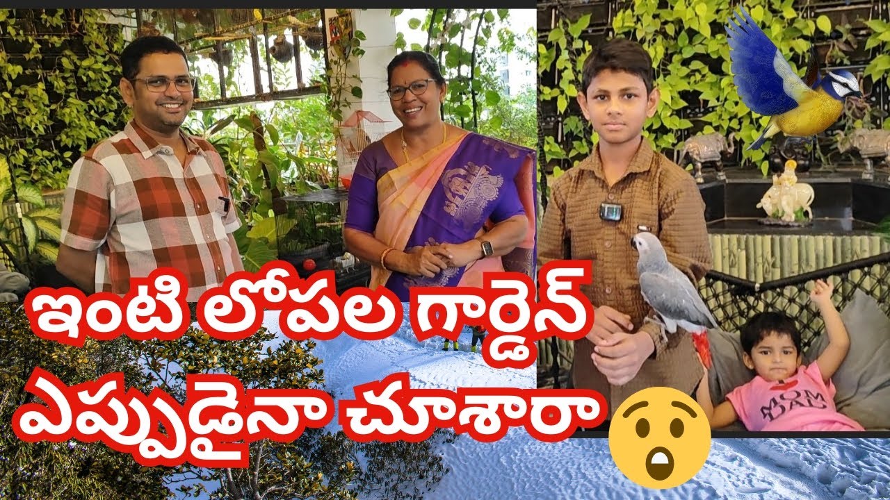 అపార్ట్మెంట్ ఇంటి లోపల గార్డెన్ ఎప్పుడైనా చూశారా#@Aadi Lakshmi's Terrace Garden ఆదిలక్ష్మి మిద్దెతోట #appart ment garden