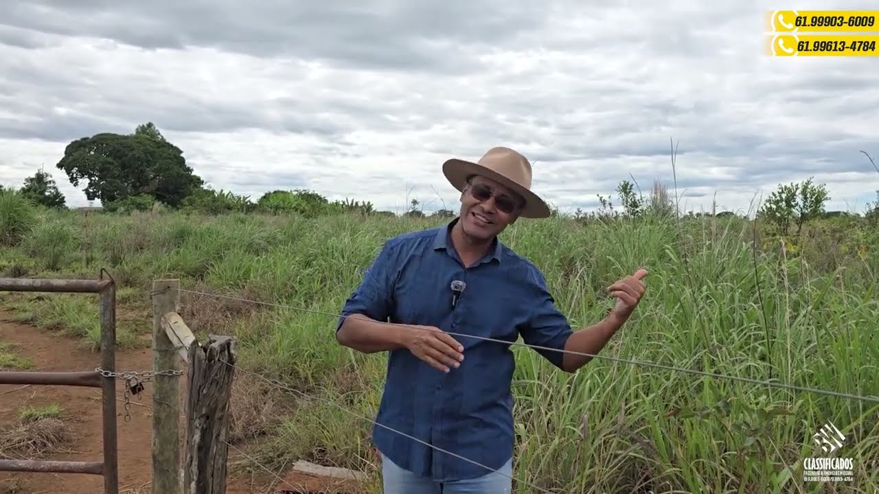 Sítio à Venda – 23 Hectares, plano, altitude 900 m, 160 km de Brasília. R$350 mil.