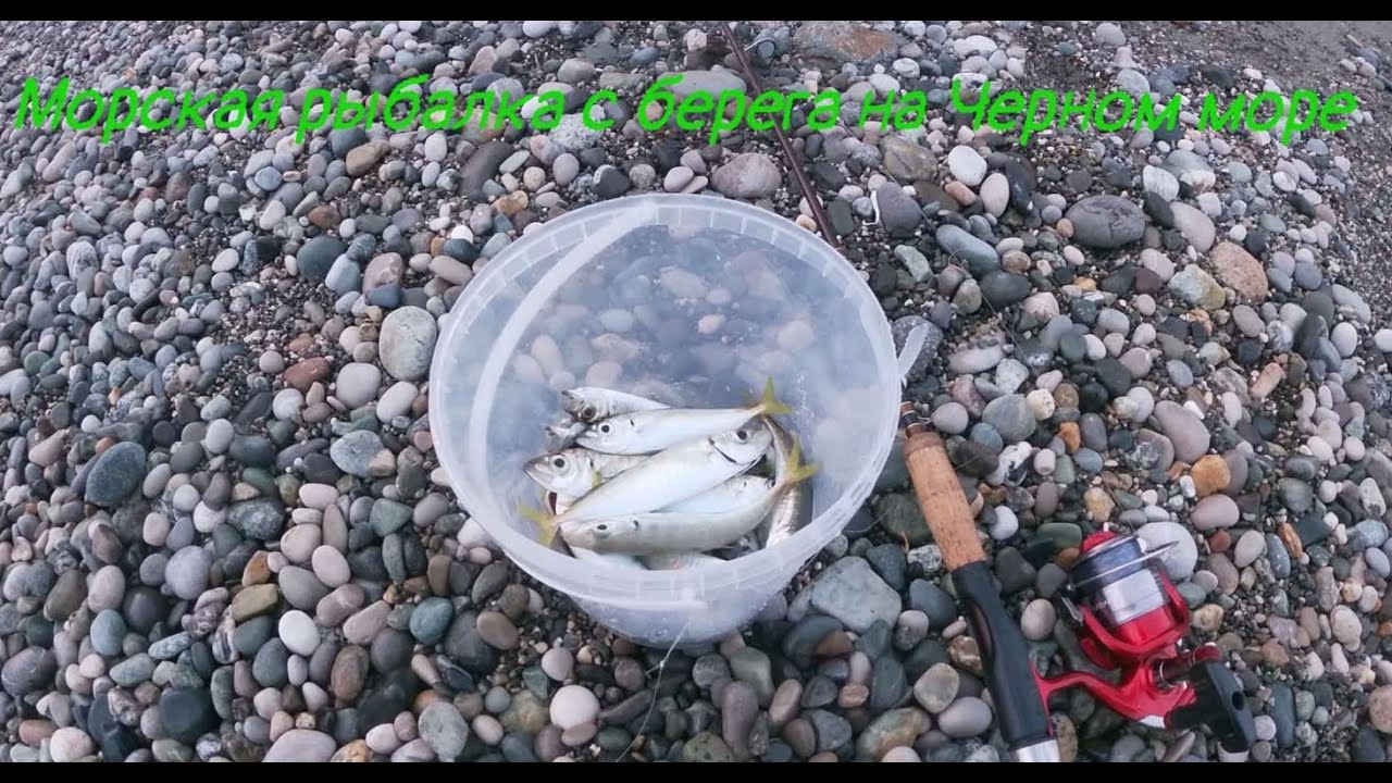 Морская рыбалка с берега  на Чёрном море!