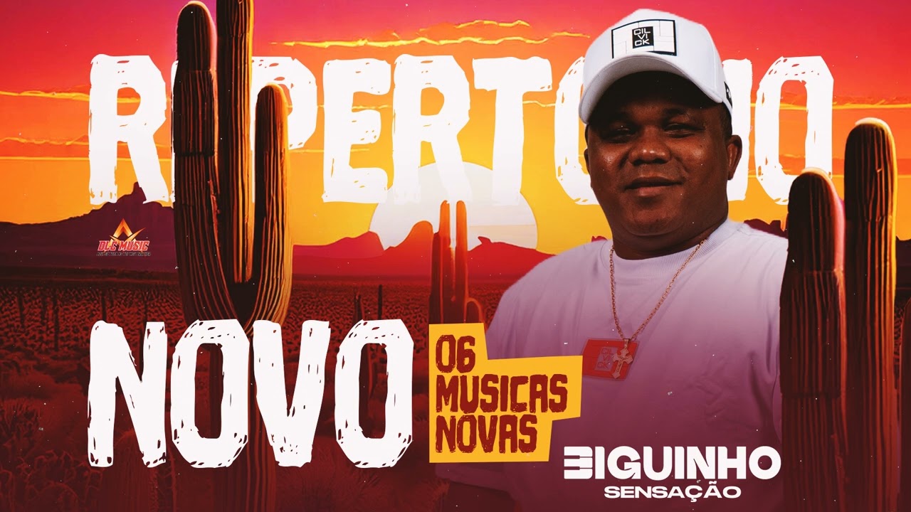 BIGUINHO SENSAÇÃO 2024 REPERTÓRIO ATUALIZADO NOVEMBRO 2024 MÚSICAS INEDITAS
