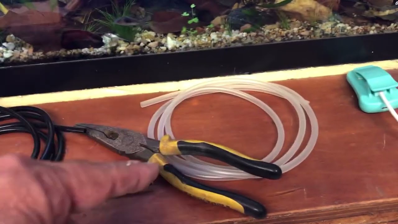 DIY Brine Shrimp Hatchery