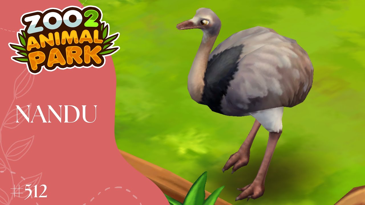 Ich baue für den Nandu um - Herbst Event - Zoo 2 - Animal Park  /512
